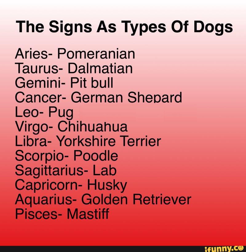 The Signs as Types of Dogs